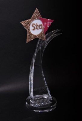 rb star award full award on black background